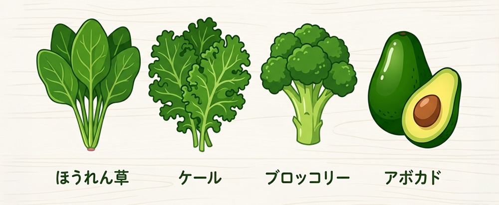 ルテインを多く含む食品(ほうれん草・ケール・ブロッコリー・アボカド)のイラスト